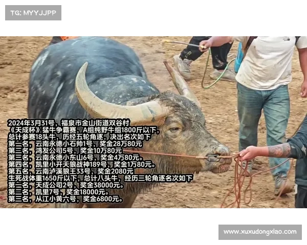 天猛赛事—天成杯国际猛牛争霸赛 天猛赛事—天成杯国际猛牛争霸赛