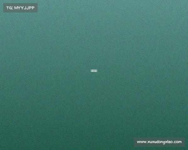 海外赛区 海外赛区