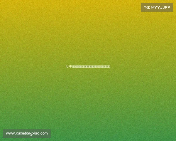 UFF赛事价值深度剖析经济驱动文化传承与社会贡献的多维融合