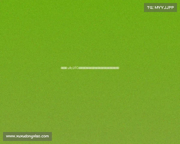 搏击赛事 ufc;UFC综合格斗锦标赛激情上演世界顶级选手同台竞技争夺至高荣誉