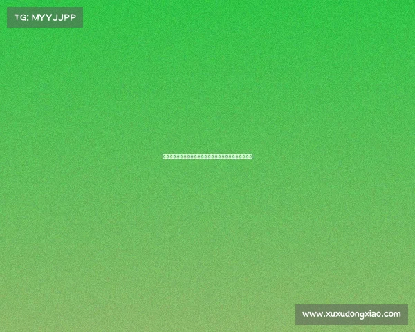 山东女排激情赛场燃爆齐鲁巾帼英雄奋力拼搏争创辉煌荣耀